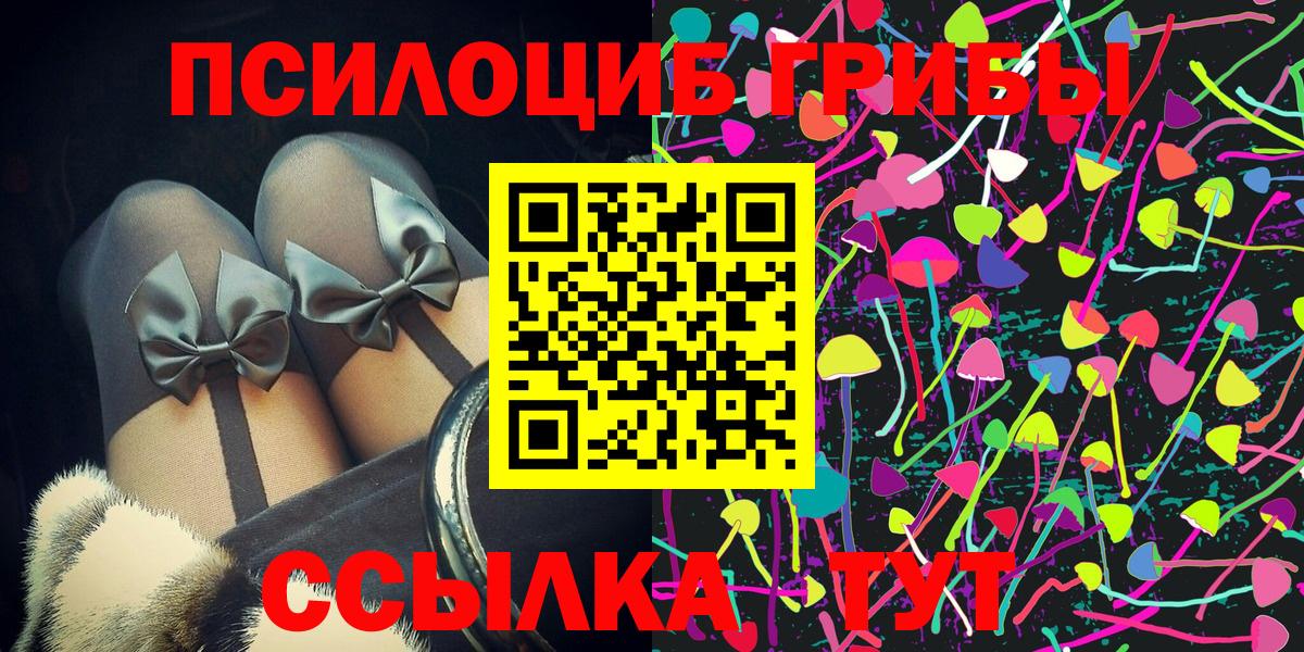 Псилоцибиновые грибы GOLDEN TEACHER Кизляр